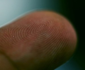 800px-Finger_Print_Zoom_01_(203533182)